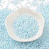 Baking Paint Glass Seed Beads X-SEED-S042-05B-64-2