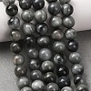 Natural Hawk's Eye Beads Strands G-L478-03-8mm-01-2