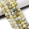Natural New Jade Beads Strands G-F591-16-10MM-3