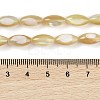 Natural Trochus Shell Beads Strands BSHE-G036-06A-4