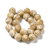 Natural Trochus Shell Beads Strands SHEL-K006-18A-2