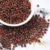Glass Seed Beads X1-SEED-H002-B-D205-1