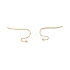 316 Surgical Stainless Steel Earring Hooks STAS-P307-07G-3