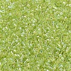 MIYUKI Delica Beads X-SEED-J020-DB0174-1