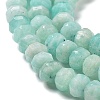 Natural Amazonite Beads Strands G-J400-C04-03-4