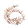 Natural Cultured Freshwater Pearl Beads Strands PEAR-C003-13E-3