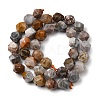 Natural Gobi Agate Beads Strands G-Z119-A36-03-4