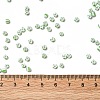 6/0 Opaque Colours Seep Glass Seed Beads SEED-F003-04A-06-4