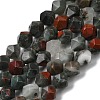 Natural African Bloodstone Beads Strands G-Z119-A28-03-3