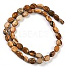 Natural Picture Jasper Beads Strands G-M420-D14-01-3