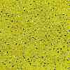 TOHO 11/0 Round Beads SEED-XTR11-0032-2