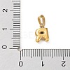 316L Surgical Stainless Steel Charms LS-STAS-G315-01G-R-3