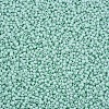 13/0 Glass Seed Beads SEED-T005-14A-A19-3