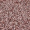 11/0 Grade A Glass Seed Beads X-SEED-S030-1202-2