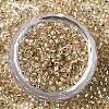 Glass Seed Beads SEED-S042-04A-05-2