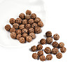 Undyed Natural Rudraksha Beads WOOD-T030-01-4