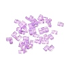 2-Hole Transparent Glass Seed Beads SEED-S023-30B-26-1