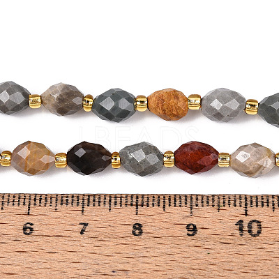 Natural Picture Jasper Beads Strands G-N342-53-8x6-09-1