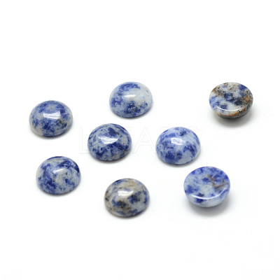 Natural Blue Spot Jasper Cabochons G-T020-16mm-03-1