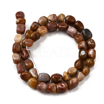 Natural Petrified Wood Beads Strands G-L621-C11-01-1