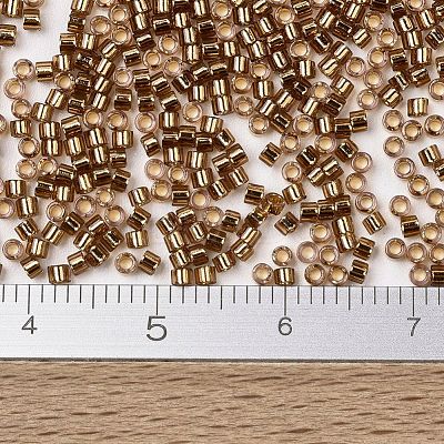 MIYUKI Delica Beads SEED-X0054-DB2524-1
