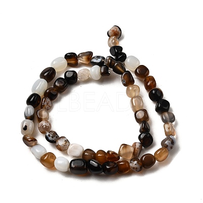Natural Black Agate Bead Strands G-P070-34-1