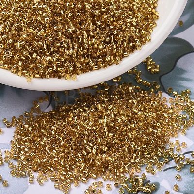 MIYUKI Delica Beads SEED-X0054-DB2525-1