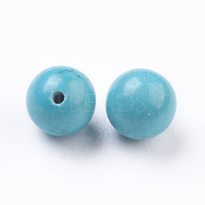 Natural Magnesite Beads G-E482-06A-1