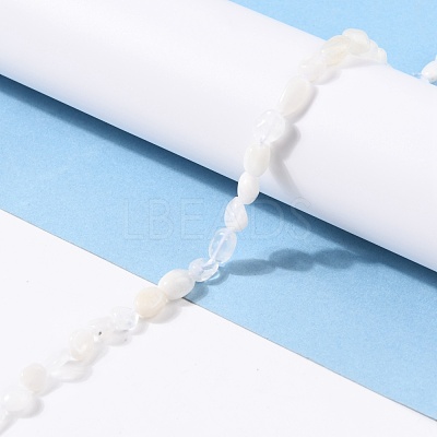 Natural Rainbow Moonstone Beads Strands G-G018-48-1