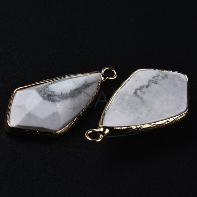 Natural Howlite Charms G-Q998-029C-1