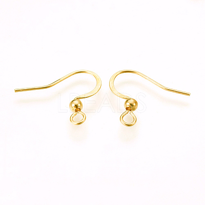 316 Surgical Stainless Steel Earring Hooks X-STAS-P220-13G-1