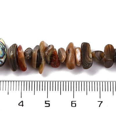 Natural Paua Shell Beads Strands BSHE-B007-05-1