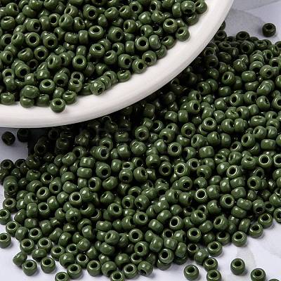 MIYUKI Round Rocailles Beads SEED-X0055-RR0501-1