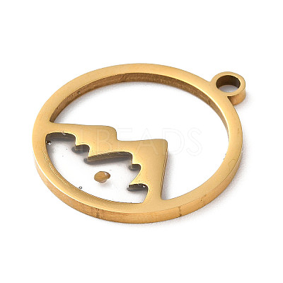 201 Stainless Steel Pendants STAS-D041-17G-1