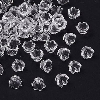 Transparent Acrylic Beads LS-X-PL548-1-1