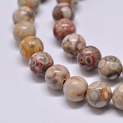 Natural Maifanite/Maifan Stone Beads Strands X-G-F353-6mm-1