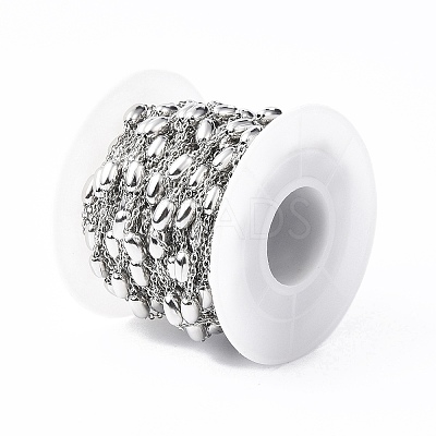 Tarnish Resistant 304 Stainless Steel Satellite Chains CHS-I020-02C-1