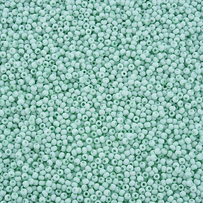 13/0 Glass Seed Beads SEED-T005-14A-A19-1