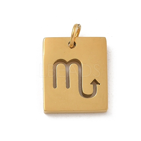 304 Stainless Steel Charms STAS-R001-03G-08-1