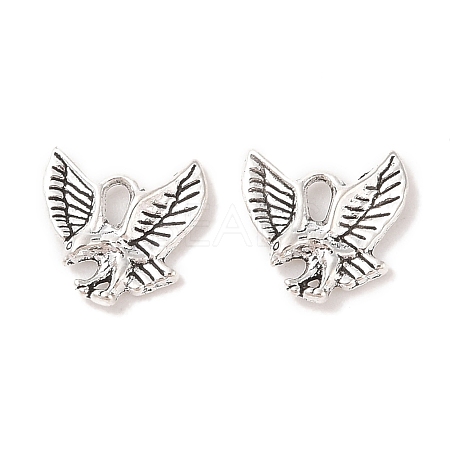 Tibetan Style Alloy Pendants TIBEP-20305-AS-R-1