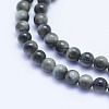 Natural Hawk's Eye Beads Strands G-L478-02-4mm-2