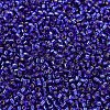 MIYUKI Delica Beads SEED-X0054-DB0047-3