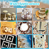 400G Natural Shell Beads SHEL-GA0002-31-5