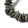 Natural Serpentine Beads Strands G-F771-C01-02-4