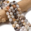 Natural Bamboo Leaf Agate Beads Strands G-Z119-A27-01-1