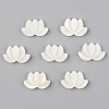 Natural Freshwater Shell Beads X-SHEL-S276-103-1