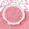 Baking Paint Glass Seed Beads SEED-T006-03O-1