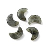 Natural Labradorite Beads X-G-NH0001-01D-1