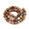 Natural Crazy Agate Beads Strands G-Q608-08A-05-3
