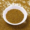 MIYUKI Delica Beads SEED-J020-DB2106-2